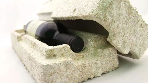 減塑黑科技,用蘑菇 種 出了泡沫飯盒和家具